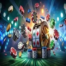 Dasbor multi-olahraga bapautoto dengan panduan pasar
